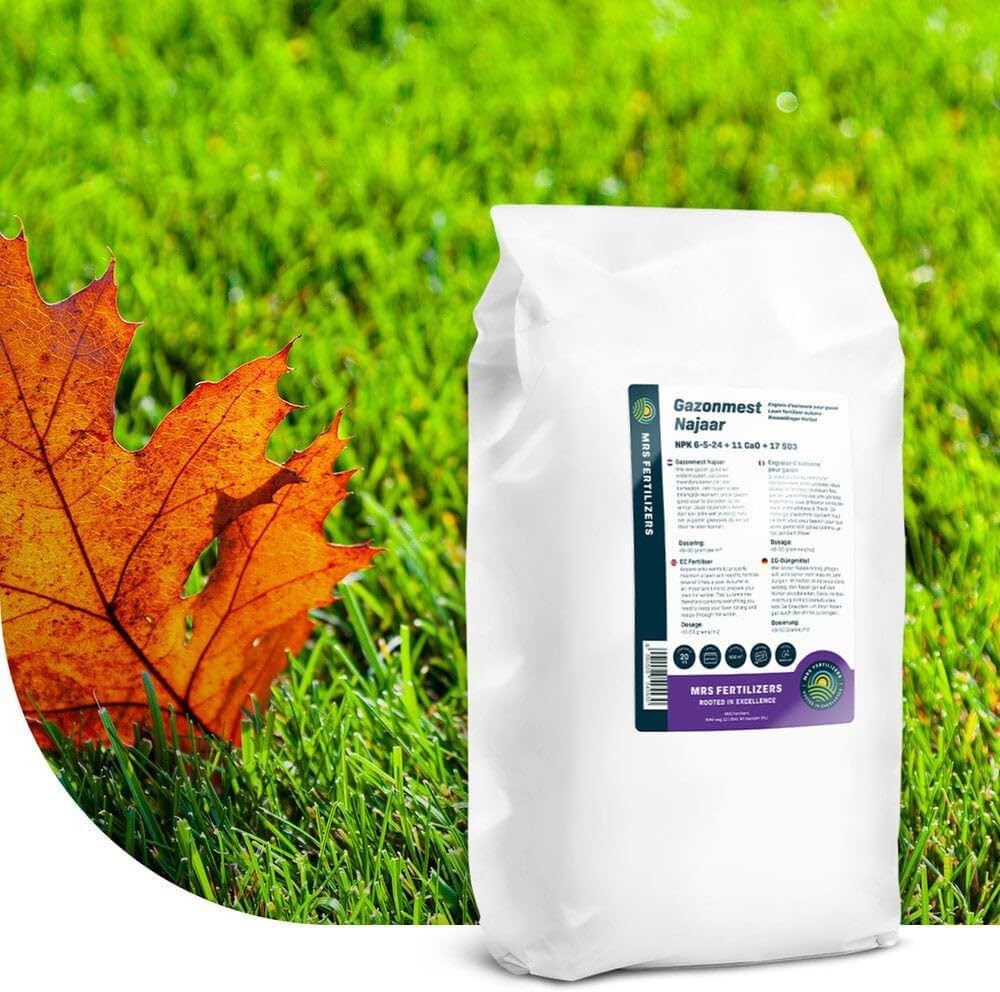 engrais gazon au printemps