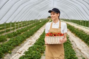 bâches tunnel agricoles
