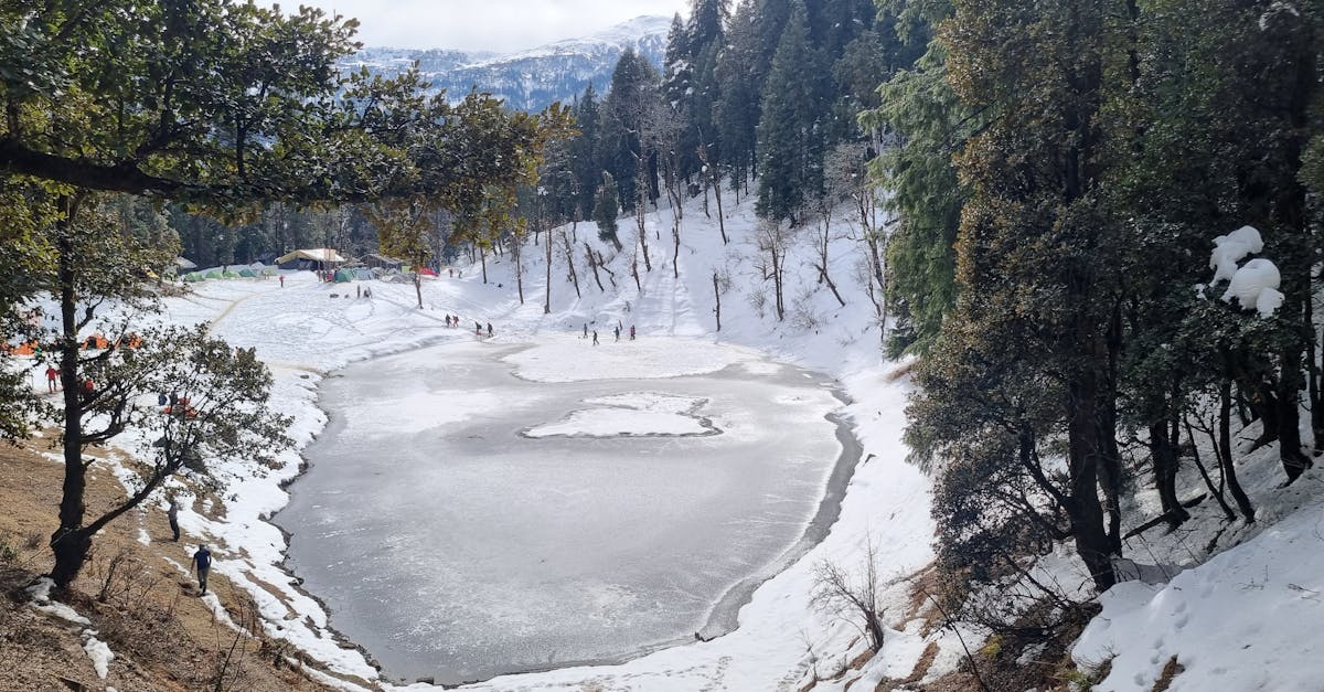découvrez les inconvénients du judas tree, un arbre ornemental aux atouts limités, incluant sa sensibilité aux maladies et son entretien requis.